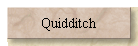 Quidditch