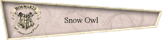 Snow Owl