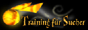 Eines der Online-Quidditch-Spiele: Training für Sucher